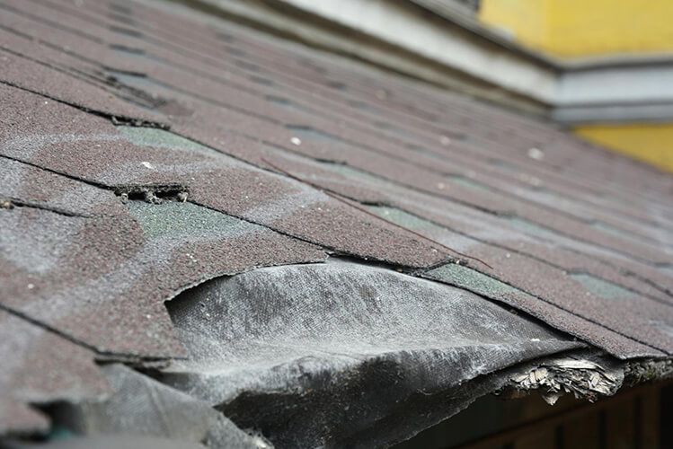 roofing companies st Augustine, fl